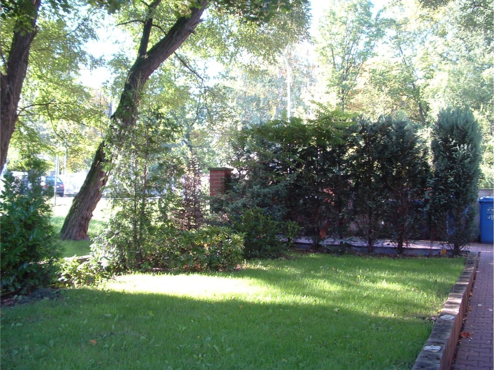 Preisreduzierung! Drei Wohnungen plus eine Gewerbeeinheit!