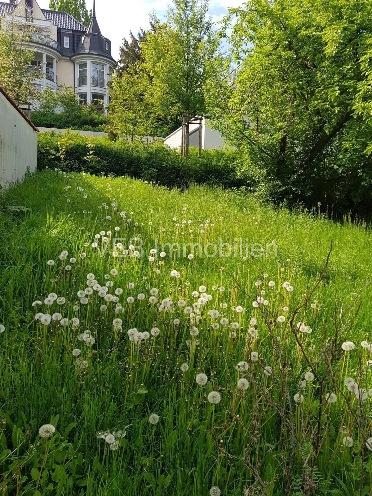 Doppelhaushälfte günstig zu verkaufen