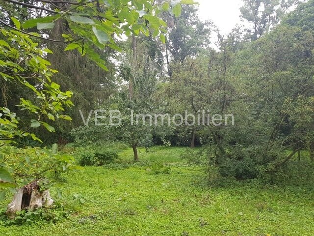 Naturidylle trifft Stadtnähe: Großzügiges Grundstück mit Bungalow in Erfurt