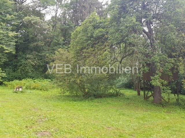 Naturidylle trifft Stadtnähe: Großzügiges Grundstück mit Bungalow in Erfurt