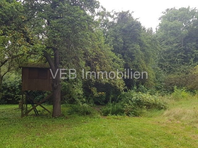 Naturidylle trifft Stadtnähe: Großzügiges Grundstück mit Bungalow in Erfurt