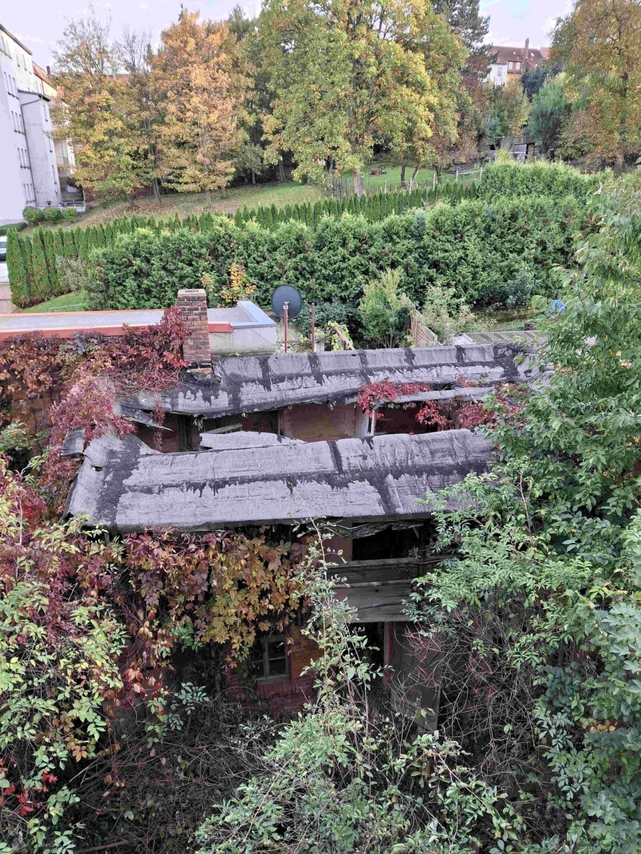 Rückseite Garten Rückseite Garten