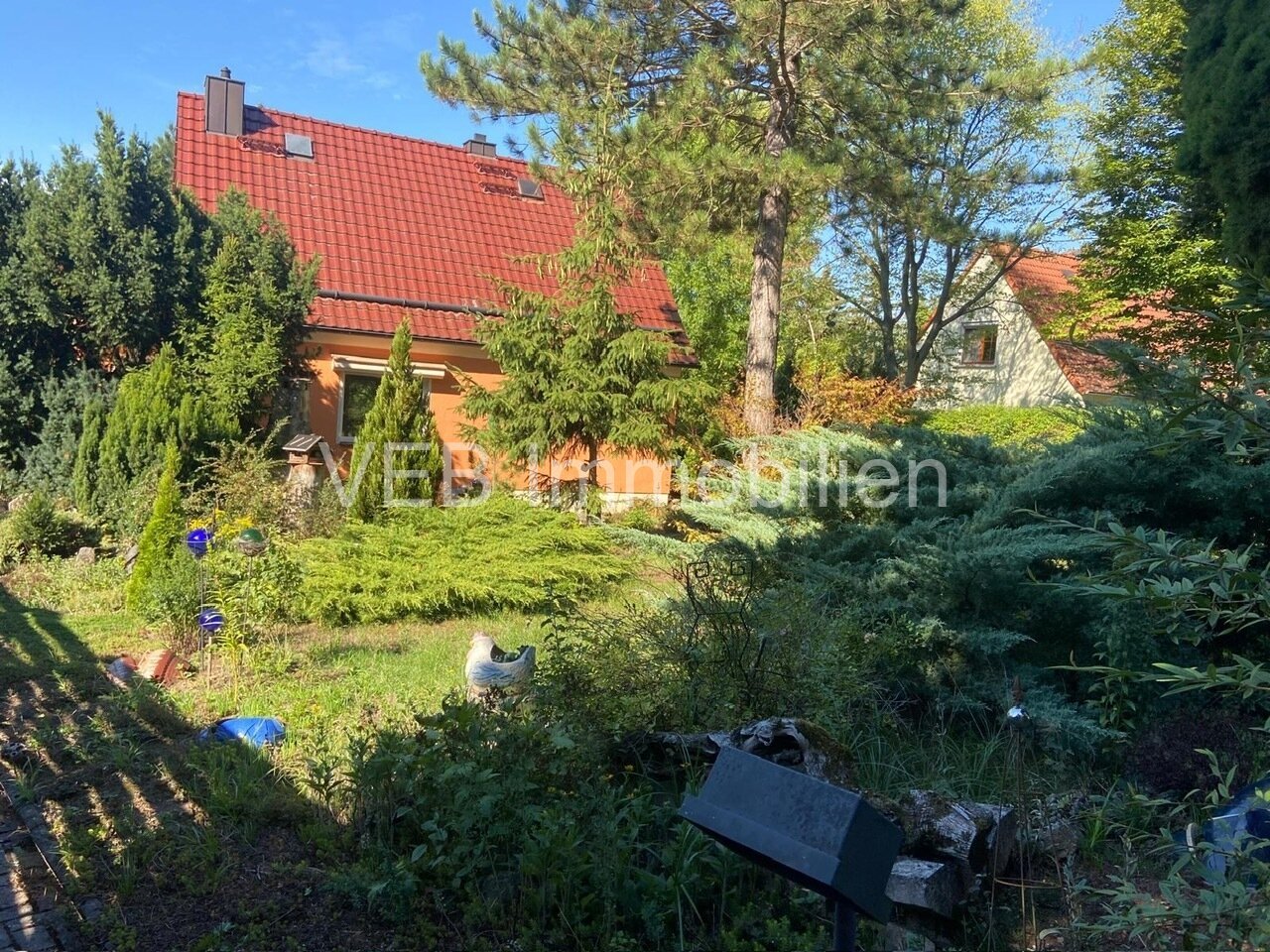 hintere Hausansicht mit Garten hintere Hausansicht mit Garten
